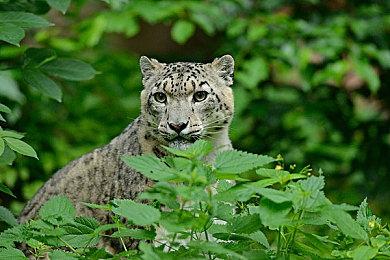 传闻：《使命召唤18》将于今年8月正式公布